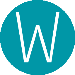 wang131349