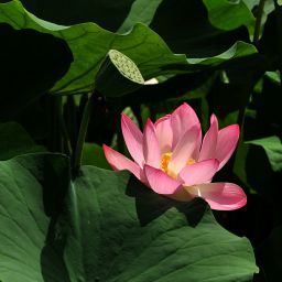 温暖的风